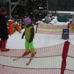phoca_thumb_m_lye 2.2.  34 Fotogalerie